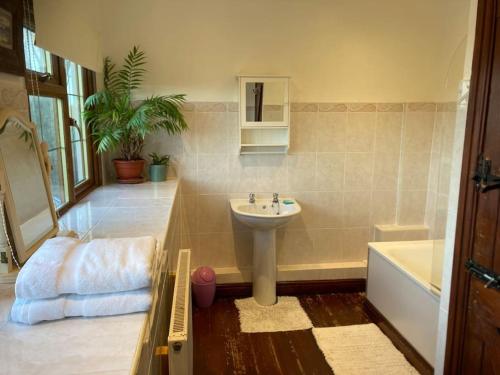 uma casa de banho com um lavatório e uma banheira em Bryntirion Farmhouse Rooms (with bathroom) em Llanfair Caereinion