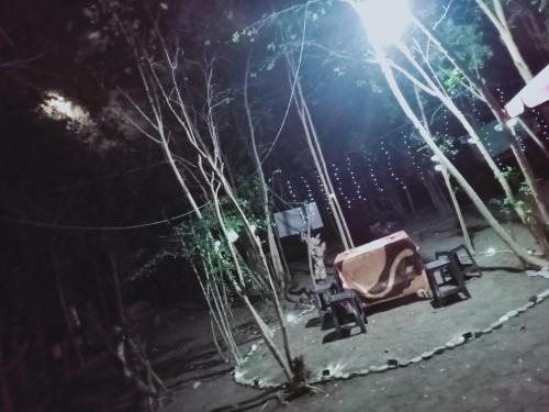 a group of benches sitting on a street at night at JUNGLE GYM LA UNION Prana fan kubo 2 pax in Rimus