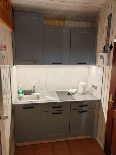 a kitchen with gray cabinets and a sink at Cottage Barbara with Sauna in Škofja Loka