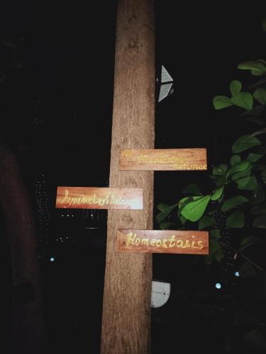 a wooden cross with two signs on it at JUNGLE GYM LA UNION Prana fan kubo 2 pax in Rimus
