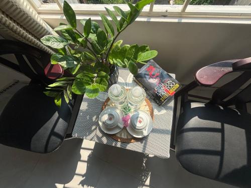 a table with a potted plant on top of it at Good Morning Hoi An Homestay and Hostel in Hoi An