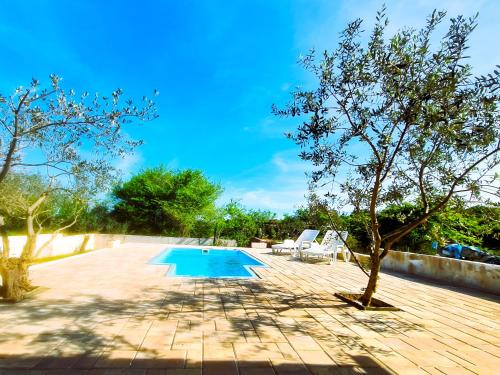 uma piscina num quintal com uma árvore em Romantic Villa Cherry em Zadar
