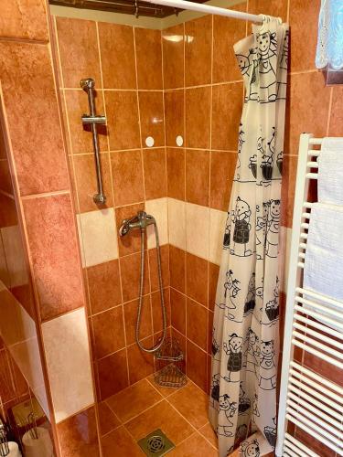 a bathroom with a shower with a shower curtain at Pacsirta Vendégház in Tiszaderzs