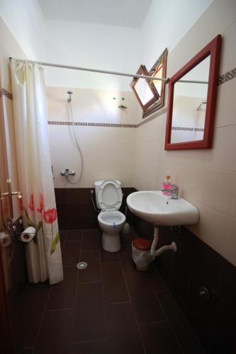 a bathroom with a toilet and a sink at HOTEL RESTORANT VIKTORIA in Gjirokastër