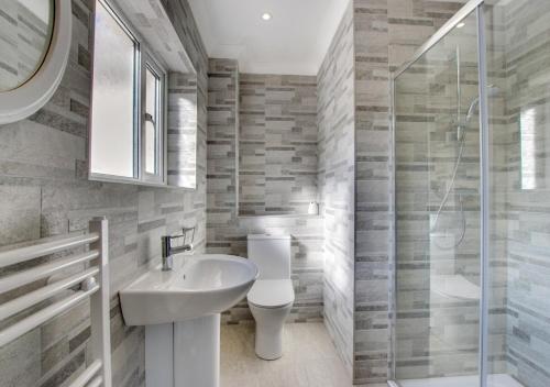 a bathroom with a toilet and a sink and a shower at Roman Bridge Close in Oystermouth