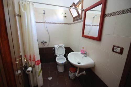 a bathroom with a toilet and a sink and a mirror at HOTEL RESTORANT VIKTORIA in Gjirokastër