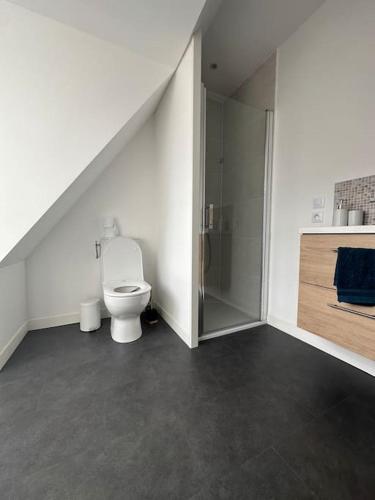 a bathroom with a toilet and a walk in shower at Appartement cœur de ville in La Flèche