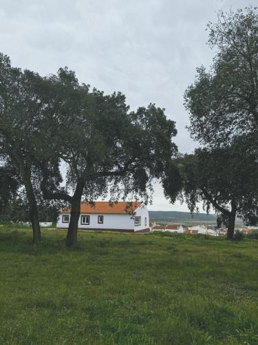 a white house in a field with trees at Monte da Boavista in Alcácer do Sal