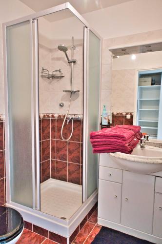 une salle de bain avec douche et lavabo dans l'établissement LE PALAIS dETE T4 6-8 115m2 grand standing garage carplug, à Canet