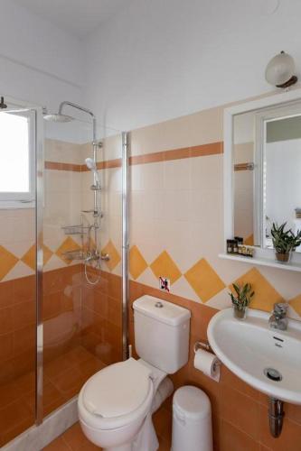 a bathroom with a toilet and a shower and a sink at Mare in Galissas
