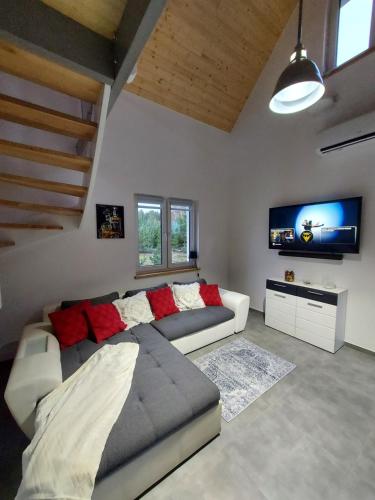 sala de estar con sofá y TV de pantalla plana en Ranczo pod lasem, en Witnica