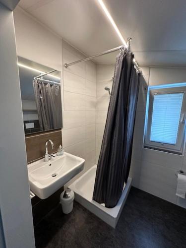 baño con lavabo y cortina de ducha en Ferienapartment Birkenhain, en Wettringen