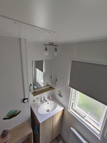 uma casa de banho com um lavatório, um espelho e uma janela em Mobil home 3 chambres avec vue sur l'étang - 4* em Canet-en-Roussillon