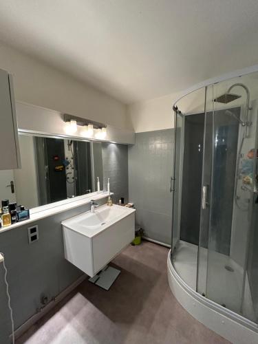 La salle de bains est pourvue d'un lavabo et d'une douche. dans l'établissement Appartement spacieux , proche JO Paris, à Saint-Maurice