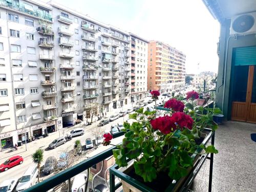 Valentina House