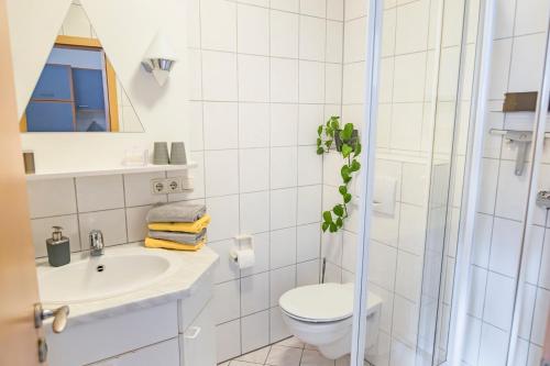 a bathroom with a toilet and a sink and a shower at Ferienhof Hofer in Absberg