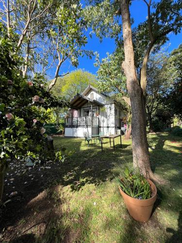 a house with a bench and a tree in the yard at Olinda Country Cottages in Olinda