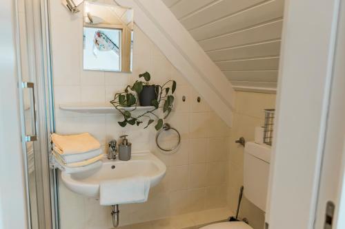 a bathroom with a sink and a toilet at Ferienhof Hofer in Absberg