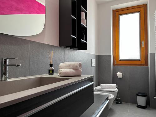 Cassina Valsassina的住宿－Jacuzzi mountain view appartment，一间带水槽和卫生间的浴室