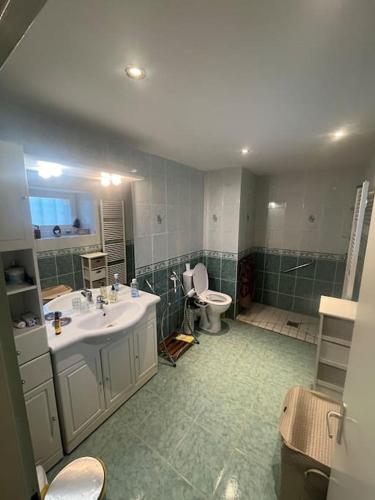 La salle de bains est pourvue de 2 lavabos, de toilettes et d'une douche. dans l'établissement Jolie maison de campagne, à Les Martys