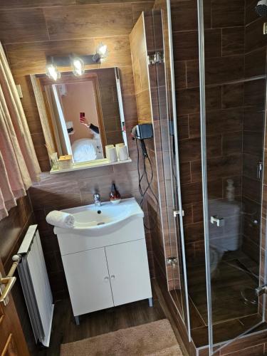 a bathroom with a sink and a shower at Villa Szófia in Siófok