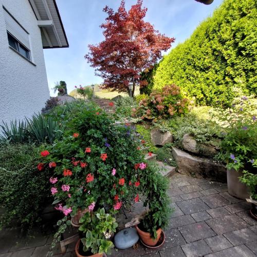 Taman di luar Ferienwohnung Leute