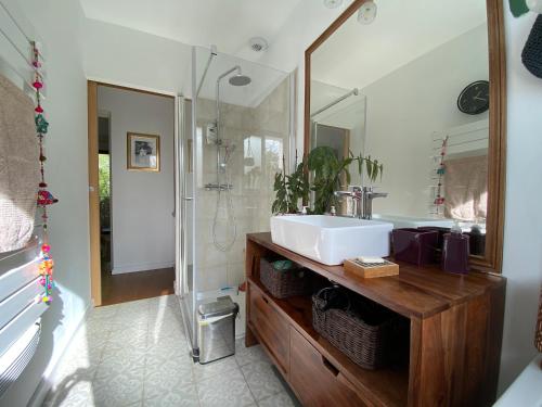 une salle de bain avec un lavabo, une douche et un miroir dans l'établissement Villa avec piscine 3 chambres, à Foix