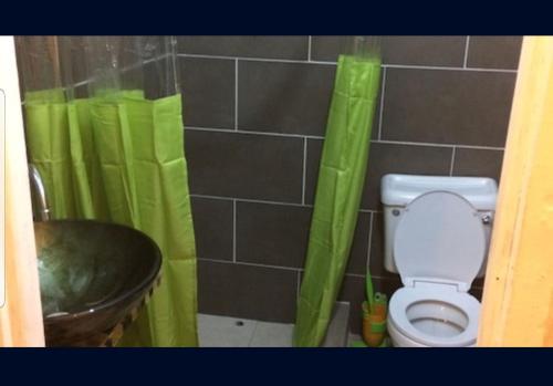a bathroom with a toilet and a green shower curtain at Alicia's lodge in Port-of-Spain