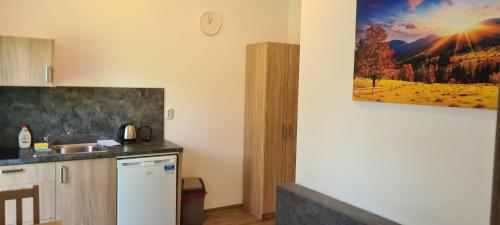 a kitchen with a sink and a counter top at Apartmán u Toma in Frýdlant nad Ostravicí