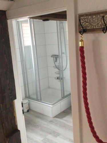 een glazen douche in een badkamer met een rood touw bij Altstadt Hafen in Leer