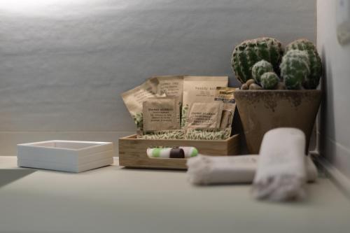 a counter with boxes and a cactus on the floor at Le Casette di Giò in Monteodorisio
