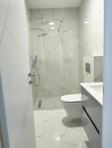 a white bathroom with a shower and a toilet at Tivat Apartman in Tivat