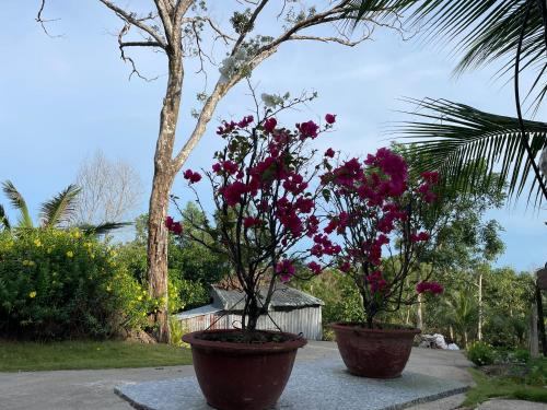 Сад в The wooden house has a beautiful sunrise & seaview