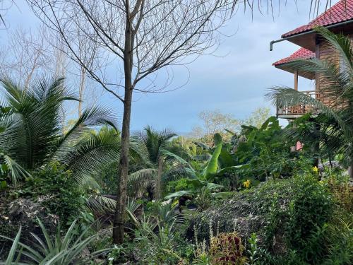Сад в The wooden house has a beautiful sunrise & seaview