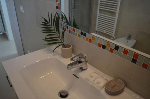 a bathroom with a sink with a potted plant on it at Casa Titti - Affitti Brevi Italia in LʼAquila