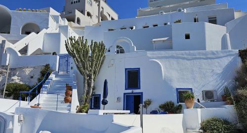 a group of white buildings with a tree in front at Cactus cave house on the caldera in Firostefani