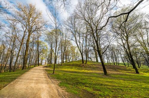 a dirt road in the middle of a field with trees at Your Cozy Family-Friendly Flat in Vibrant Riga in Riga