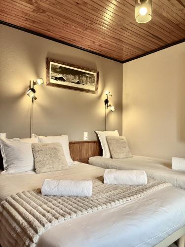 Le Chaney - T2 dans chalet - Massif du Mont-Blanc