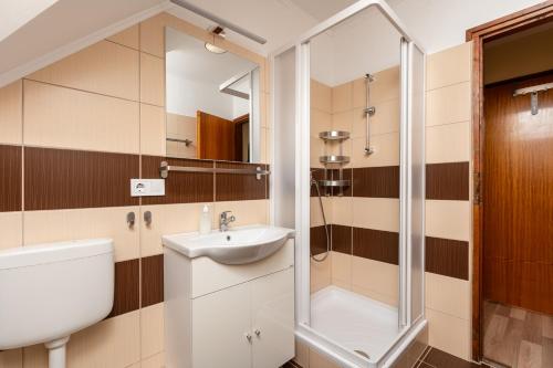 W łazience znajduje się umywalka i prysznic. w obiekcie Janika Pension w mieście Vonyarcvashegy