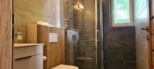 a bathroom with a shower with a toilet and a sink at Apartmán u Toma in Frýdlant nad Ostravicí
