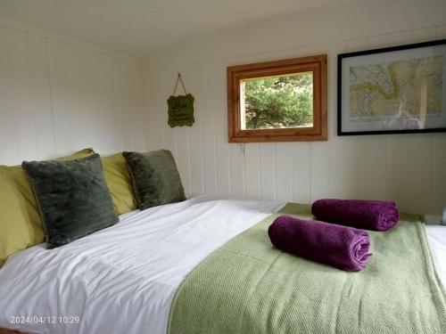 Chop GateにあるWainstones Shepherd's Hutのベッドルーム(紫色の枕が付いた大きな白いベッド付)