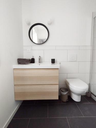 une salle de bain avec un lavabo, des toilettes et un miroir dans l'établissement Stylish Nest: studio tout confort au cœur de Pau, à Pau