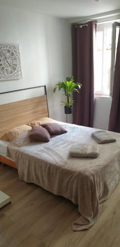 Antibes : Beau studio en plein centre ville