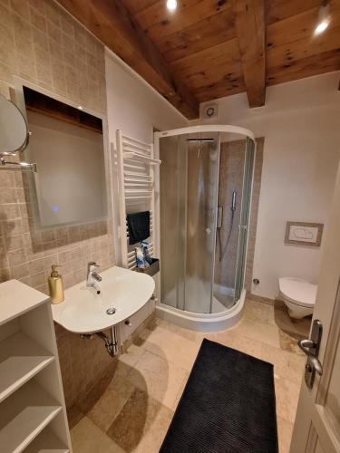 bagno con doccia, lavandino e servizi igienici di Casa dell ´amore a Poreč (Parenzo)