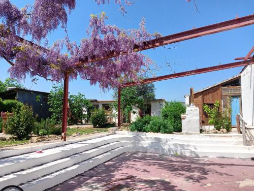 Το κτήριο όπου στεγάζεται  το bed & breakfast