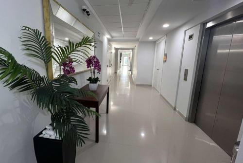 a hallway of an office building with a plant at La Quinta by Wyndham Reynosa in Reynosa