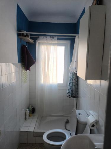 a bathroom with a white toilet and a window at Habitacion centrica con baño privado in Portbou