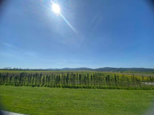 a green field with the sun in the sky at Noclegi Beskidzkie Stodoły in Odrzechowa