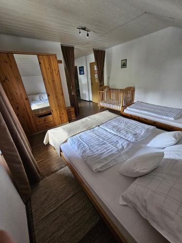 a bedroom with two beds and a mirror at House Petra in Rakovica