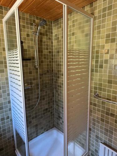 La salle de bains est pourvue d'une douche avec une porte en verre. dans l'établissement Chalet Claire, à Bürchen
